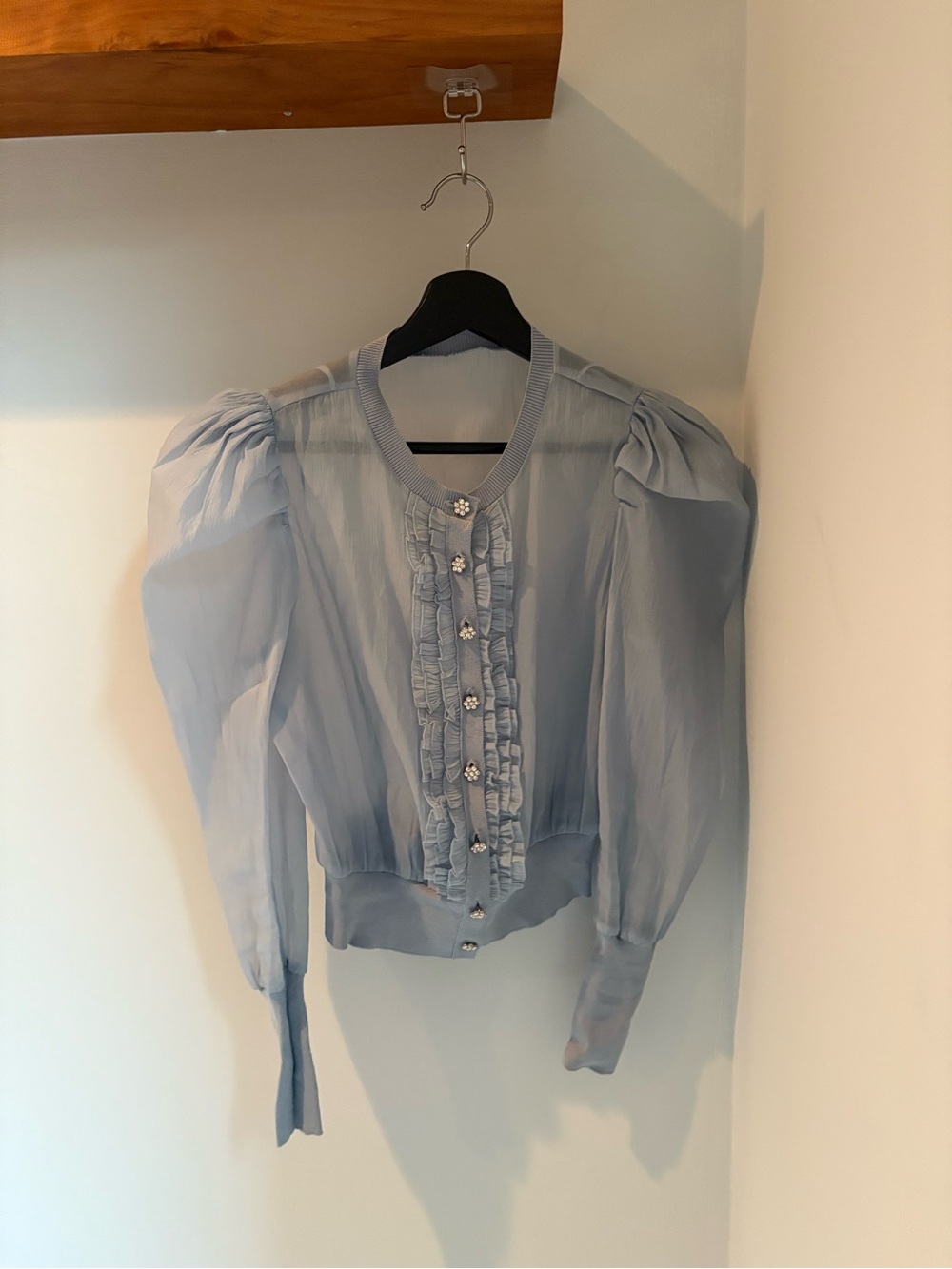 Sheer Puff-Sleeve Ruffle Blouse in Light Blue